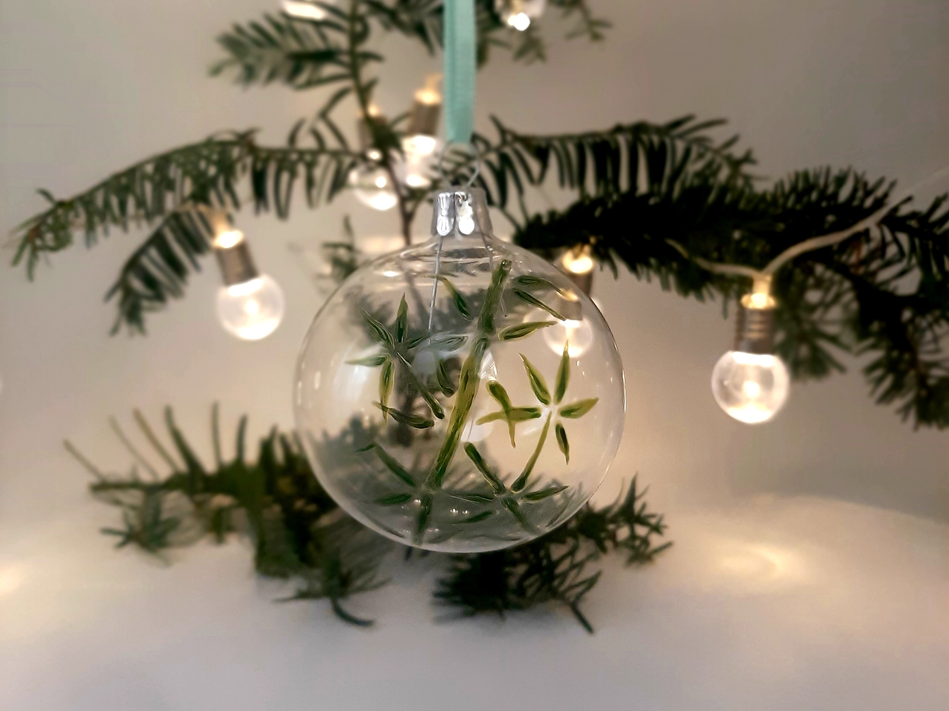 20221123_120645 - kopie